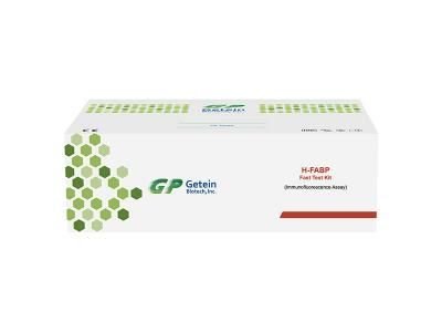 Rapid Test